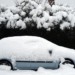 Сугробы и автомобили