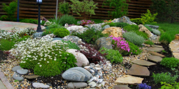 Что такое Рокарий?