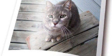 Основные разновидности и выбор фотобумаги