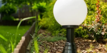 Як фіто світильники перетворюють вертикальне садівництво