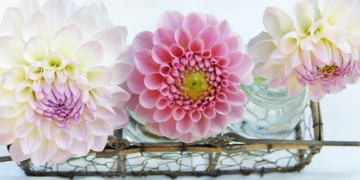 Уникальные флористические композиции из георгин