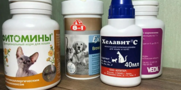 Витамины и добавки для собак: требования, советы и выбор