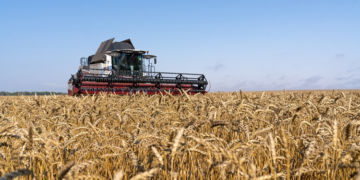 Покупка агробизнеса: особенности и главные преимущества