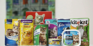 Некоторые рекомендации по выбору корма для кошек и правила