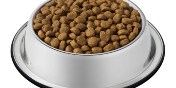 Корм для котов: самые популярные виды и достоинства