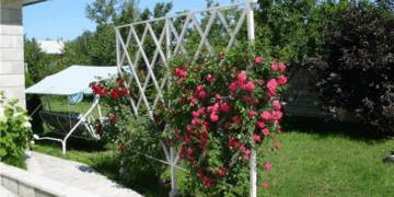 Как самостоятельно изготовить арку для плетистой розы