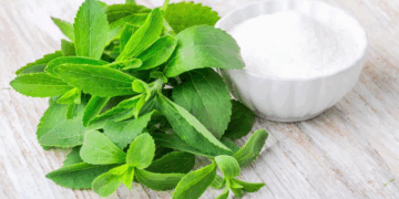 Як стевія допомагає контролювати вагу: натуральний секрет для вашої фігури