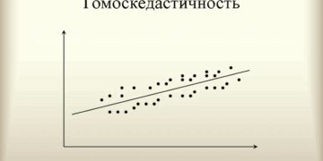 Гомоскедастичность: понятие, описание и главные принципы