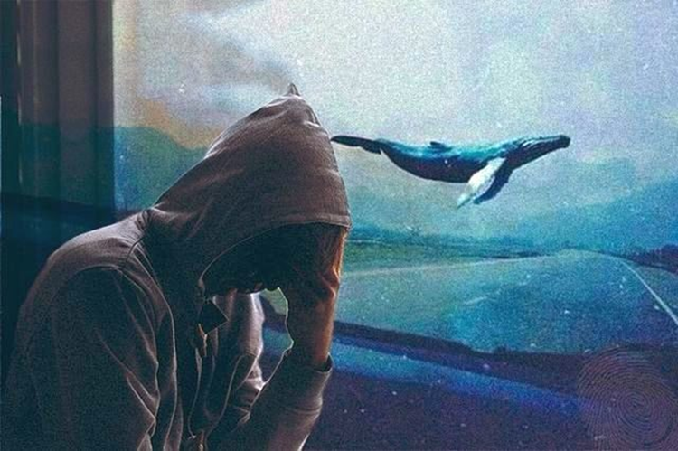 Молчание синих китов: тревожный знак у берегов Калифорнии