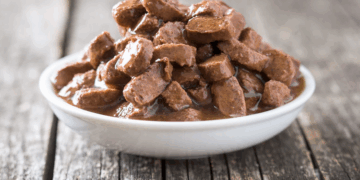 Почему кот перестал есть любимый корм и что делать?