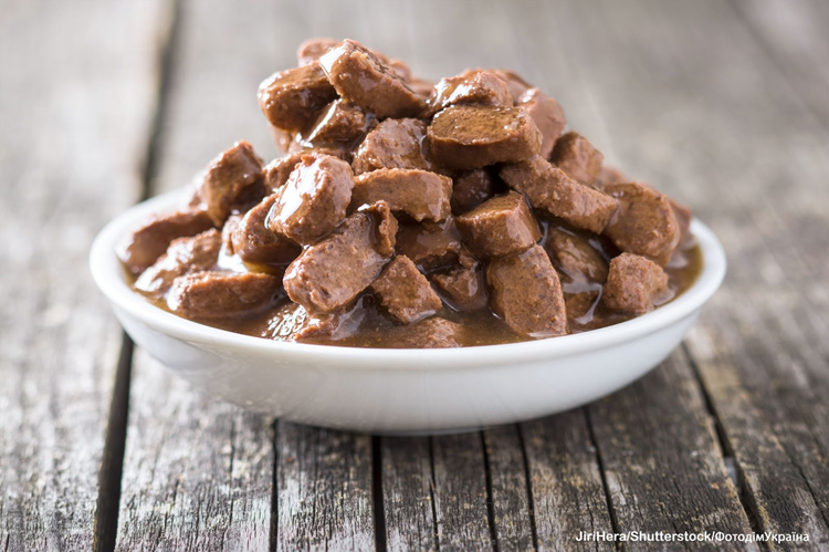 Почему кот перестал есть любимый корм и что делать?