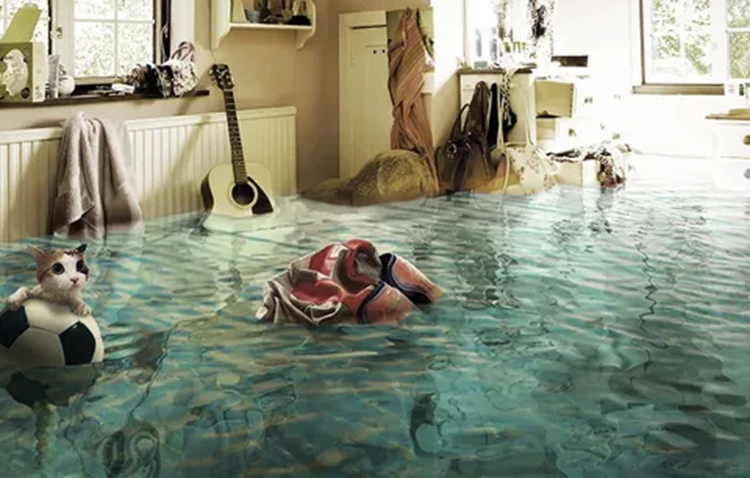 Как выполняется оценка ущерба после залития и советы