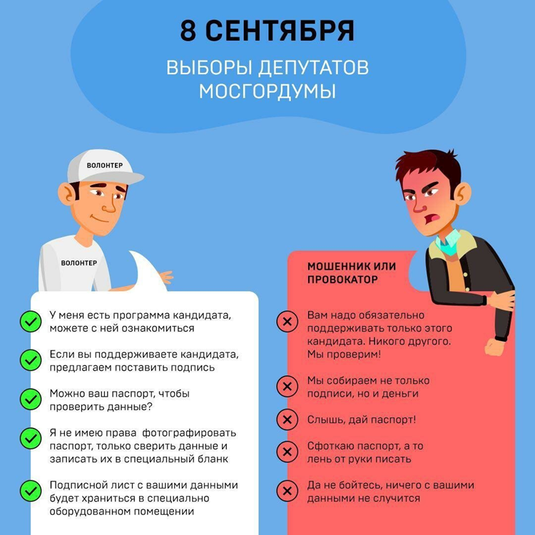 Как стать кандидатом на выборы: что нужно и требования