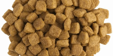 Преимущества сухого корма для котов и советы по выбору лучшего варианта