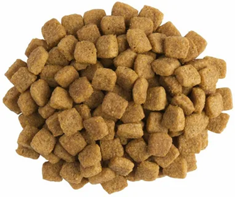 Преимущества сухого корма для котов и советы по выбору лучшего варианта