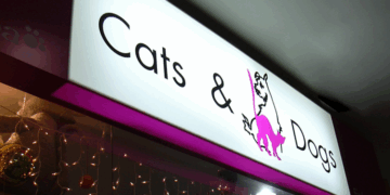 Преимущества световых коробов и пошаговая инструкция их установки для идеальной подсветки