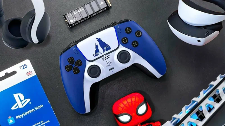 Аксессуары для PlayStation 5: виды и выбор аксессуаров
