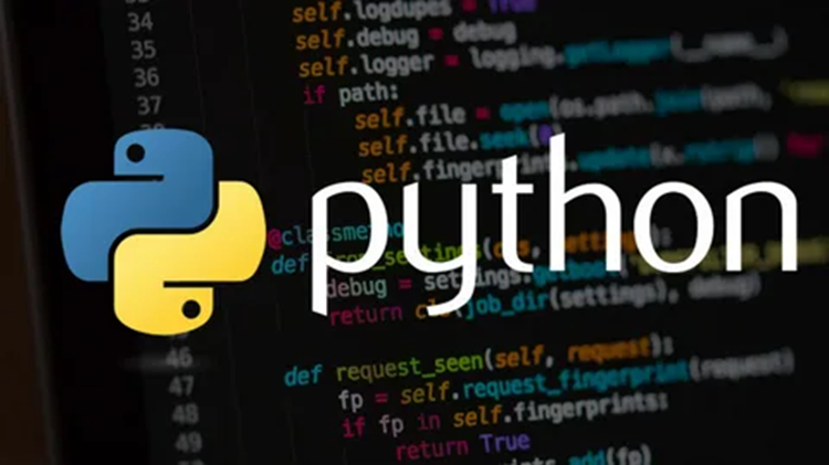 Обзор программирования на Python и его основные принципы