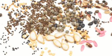 Семяныч: доверие, построенное на качестве и честности