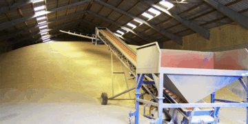 Оборудование для транспортировки зерна: виды и выбор