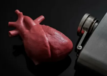 Алкоголь и сердце: как этанол разрушает миокард, сосуды и ритм — разбор исследований 2024–2026