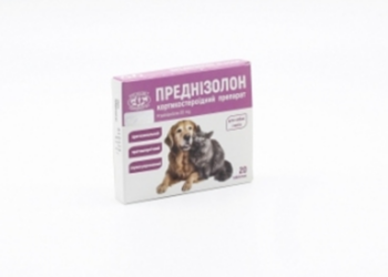Преднизолон для кошек: зачем назначают гормональный препарат и почему его не стоит бояться