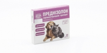 Преднизолон для кошек: зачем назначают гормональный препарат и почему его не стоит бояться