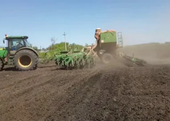 Правильное посевание семян сои: советы и рекомендации для успешного выращивания