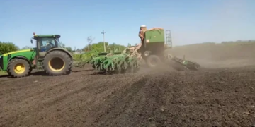 Правильное посевание семян сои: советы и рекомендации для успешного выращивания